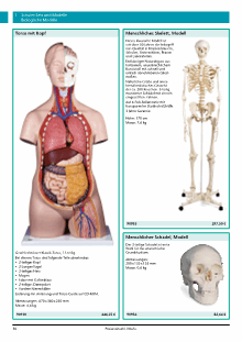 Katalog Biologie Seite 30