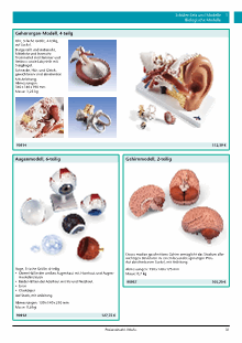 Katalog Biologie Seite 31